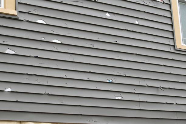 Best Custom Siding Design  in USA